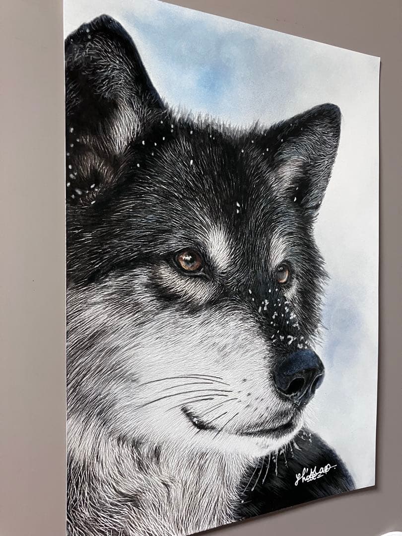 淡雪の狼 色鉛筆画 パステル