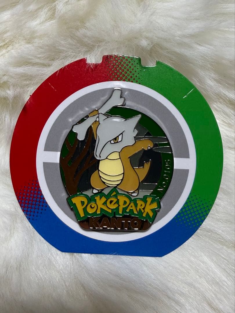 ポケパークカントー ピンズ 10個まとめ売り - メルカリ