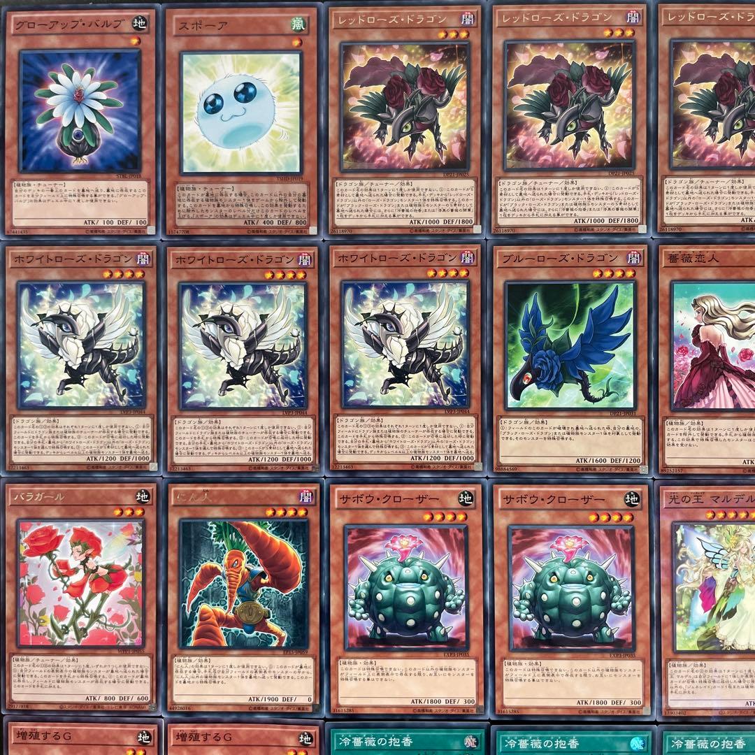 ローズドラゴン 本格構築済みデッキ 十六夜アキ 月華竜 ブラッドローズ 遊戯王t