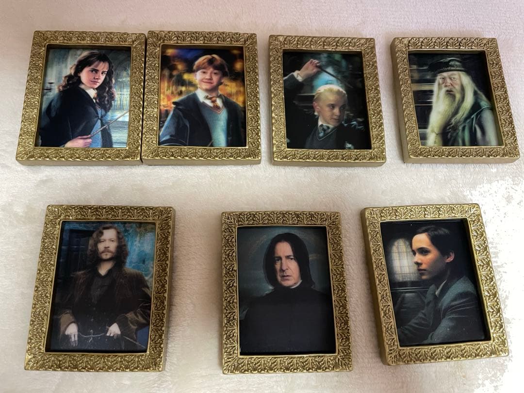 ハリー・ポッター 肖像画マグネットコレクション ハリー・ポッター 肖像画コレクションマグネットコレクション 全8種