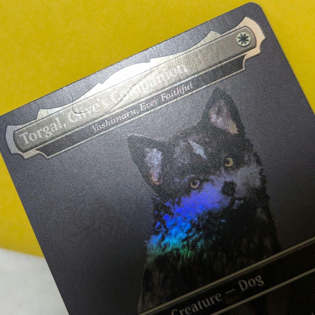 【傷、白カケ有り】 MTG FF トルガル プロモ