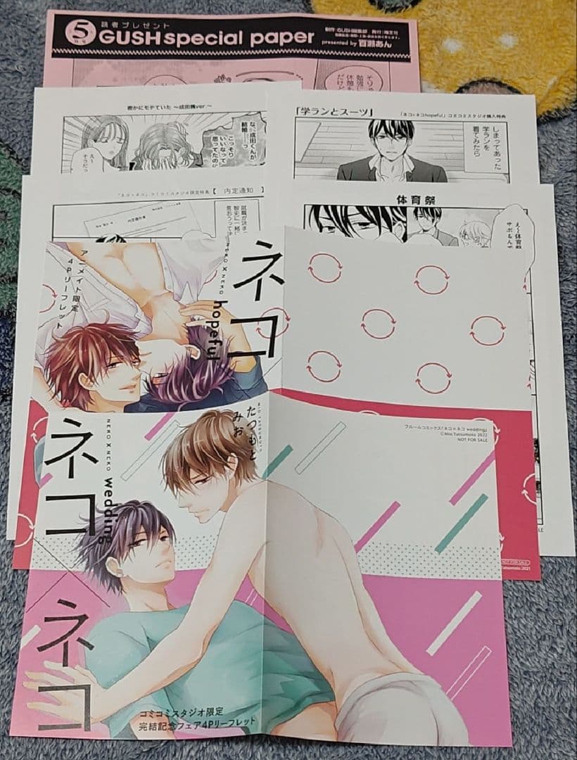 たまらないのは恋なのか　世界一初恋　抱かれたい男1位に脅されています　他