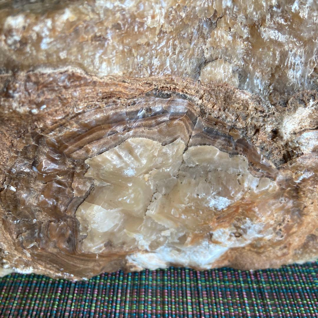 珪花石(化石木の自然石 )大きめ