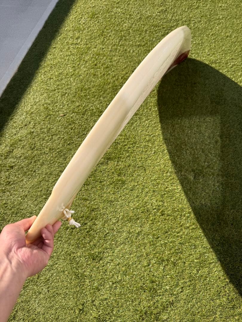 配送可送料無料　 オルタナティブショートボード