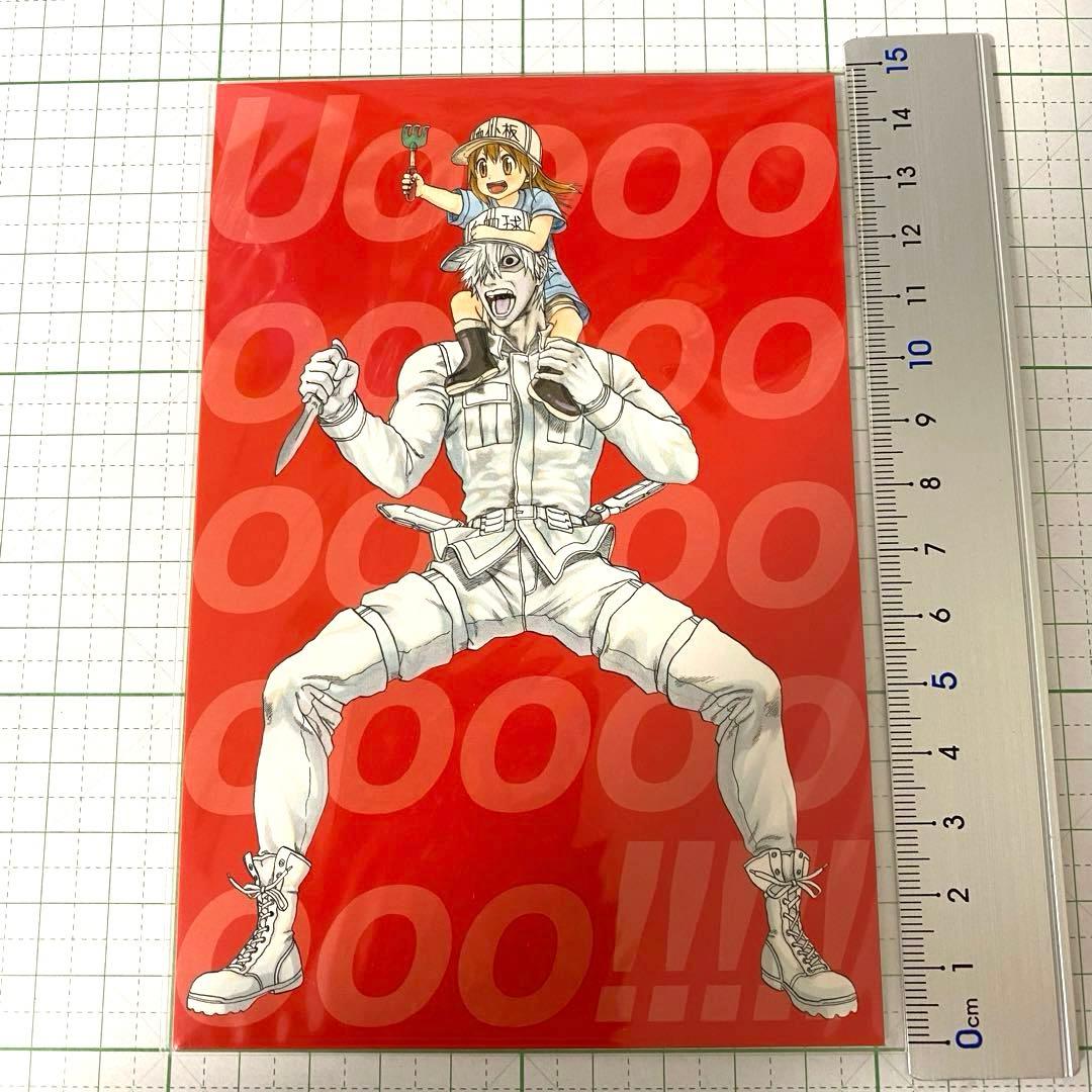 はたらく細胞 グッズセット - メルカリ