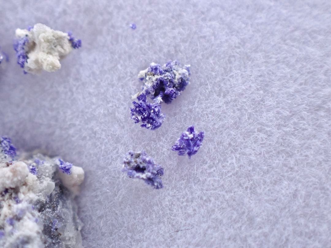 菊花状逸見石(TL) 布賀鉱山