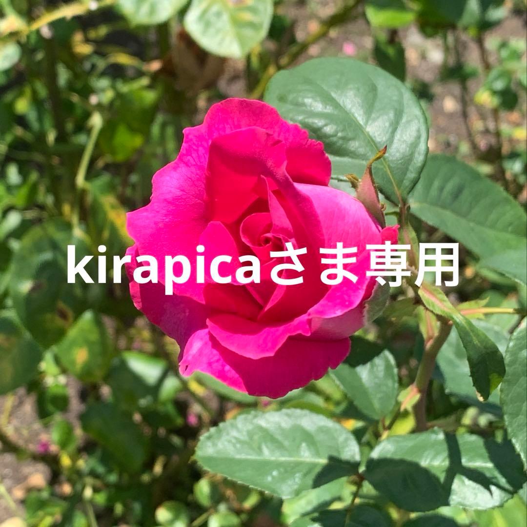 蓮紙【kirapicaさま専用】 CPリーフ ラミPOP 矢印｜HISAGO ヒサゴ株式会社｜ラベル・伝票・雑貨