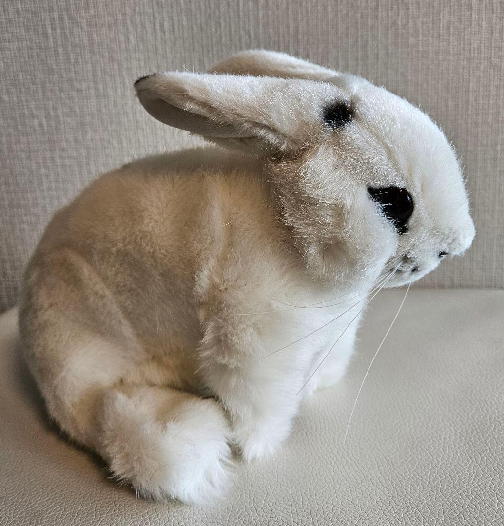 KÖSEN ウサギ　ケーセン　斑　34,500円