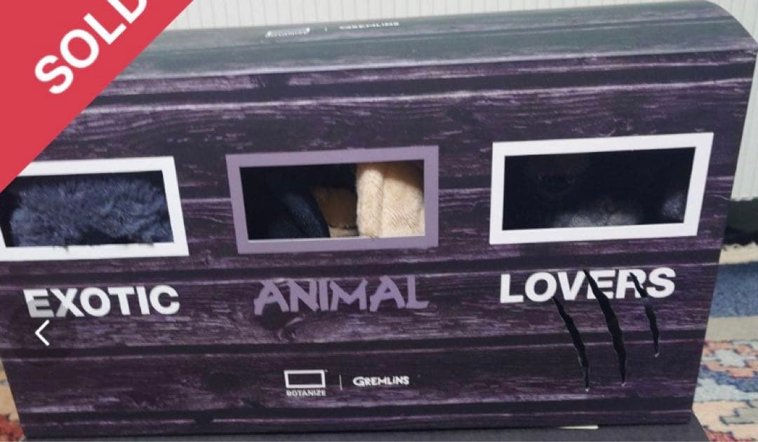 グレムリン　ギズモ　GREMLiNS × BOTANIZE