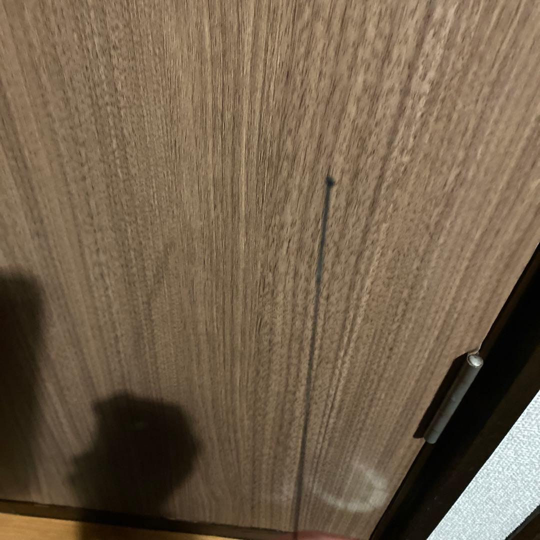 ダイワ カーボウィスカー パワーメッシュ ハエ 硬調 45 道具セット