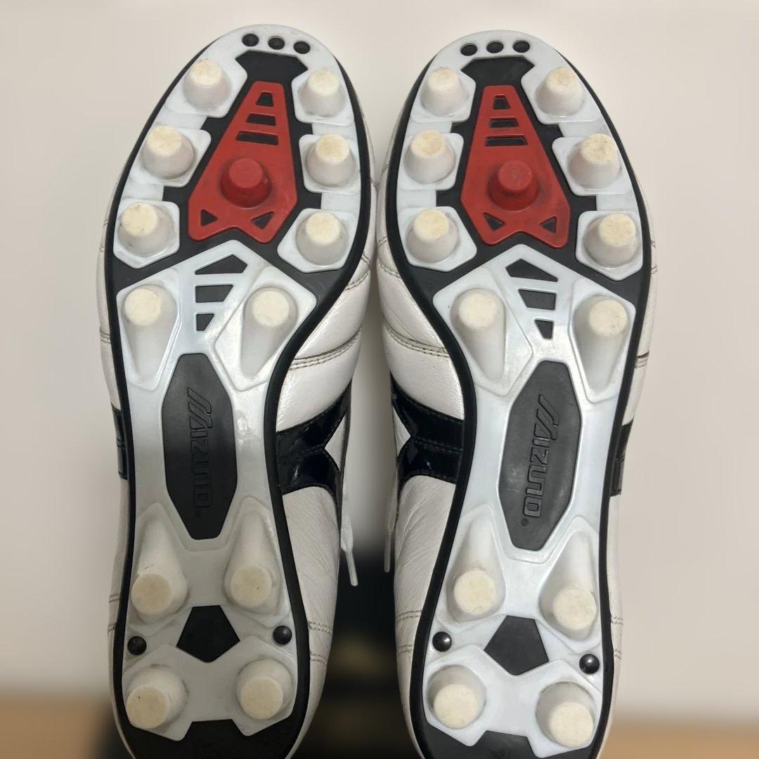 【モレリア2 JAPAN】クロスステッチ 25.5cm