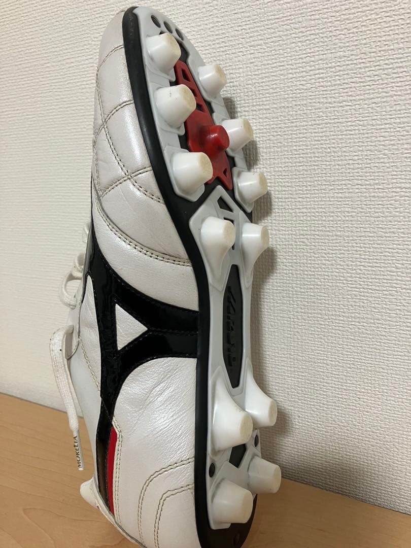 【モレリア2 JAPAN】クロスステッチ 25.5cm