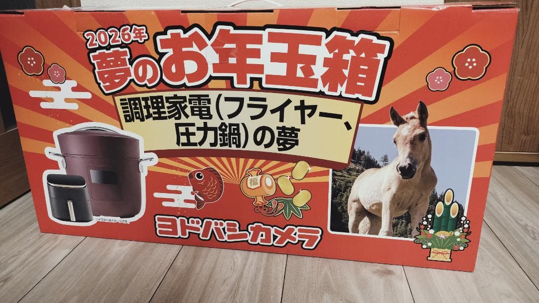 値下げしました ヨドバシ 調理家電(フライヤー、圧力鍋)の夢 夢のお年玉箱 福袋 ヨドバシ・ドット・コム 2026年夢のお年玉箱調理家電の夢ネタバレ