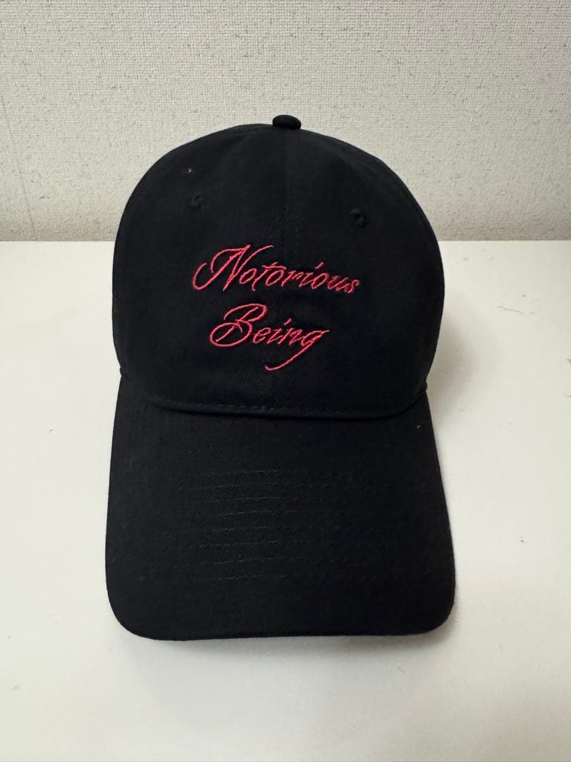 新品『早い者勝ち』Lady Gaga The MAYHEM Ball 公式グッズ