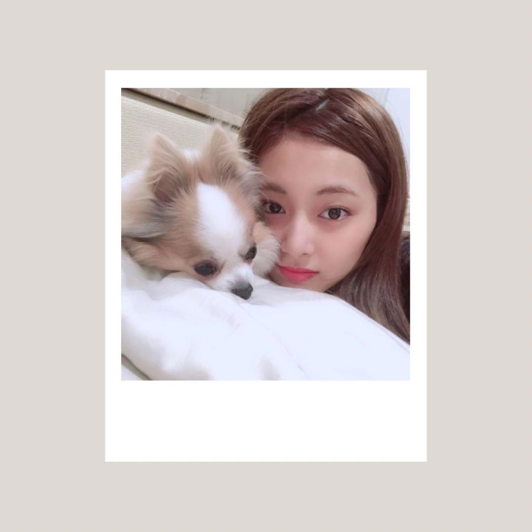 ツウィ ナヨン TWICE 4枚組 ポラロイド チェキ トレカ - メルカリ