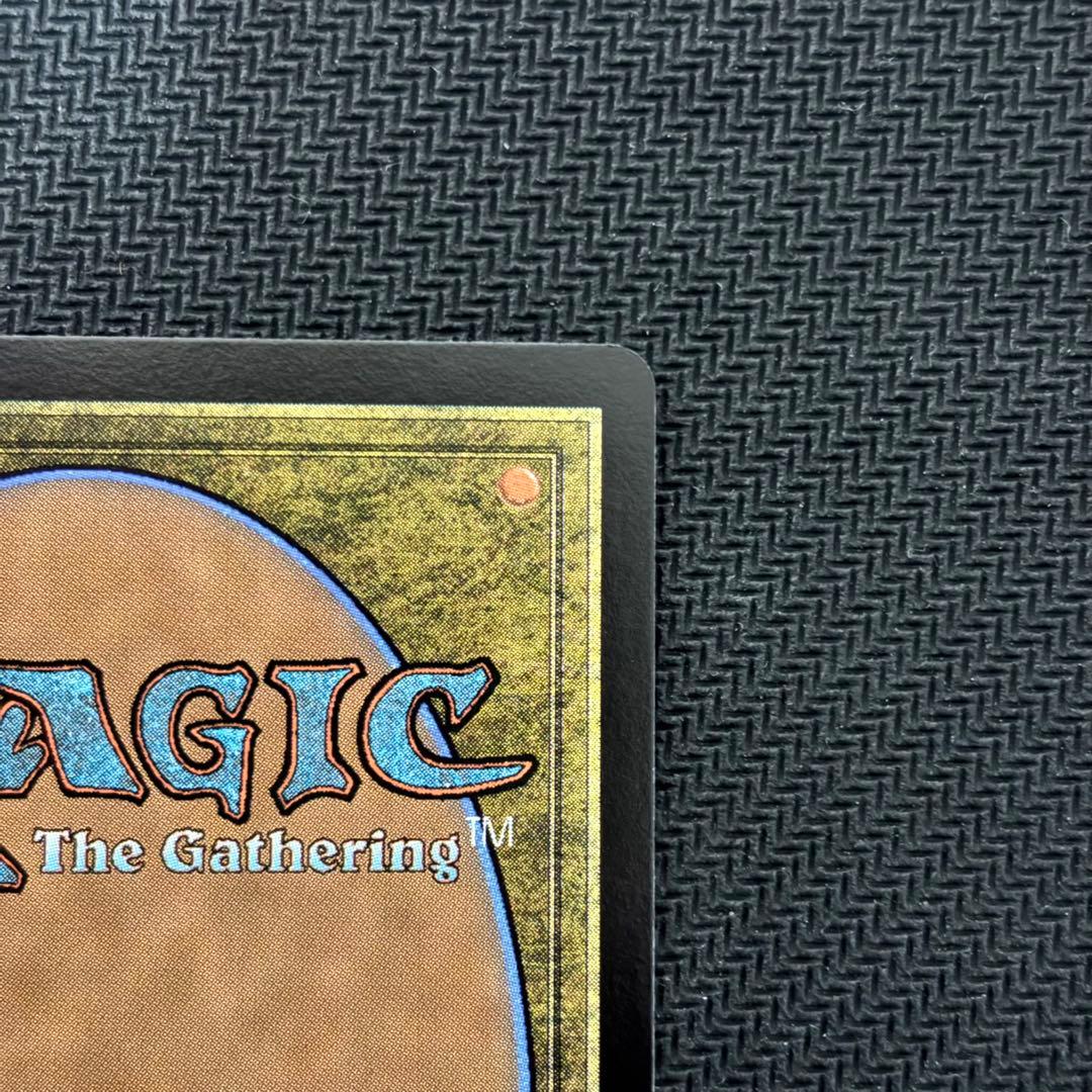 【本日限定値下げ】MTG 魔導の力を持つ少女、ティナ サージFoil 日本語版
