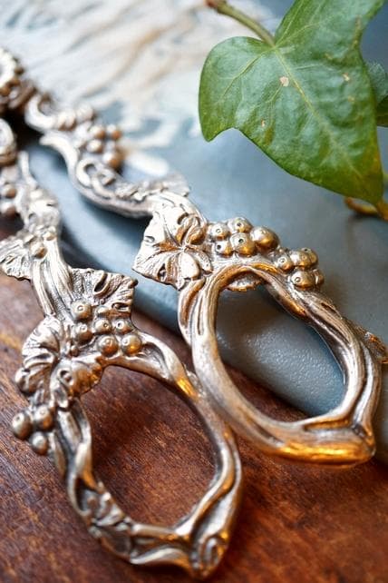 英国 ヴィクトリアン シルバープレート グレープシザー 葡萄鋏