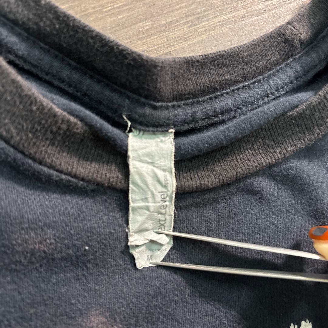 8SM1 トゥエンティワンパイロッツ　バンドTシャツ　黒　M 古着 used