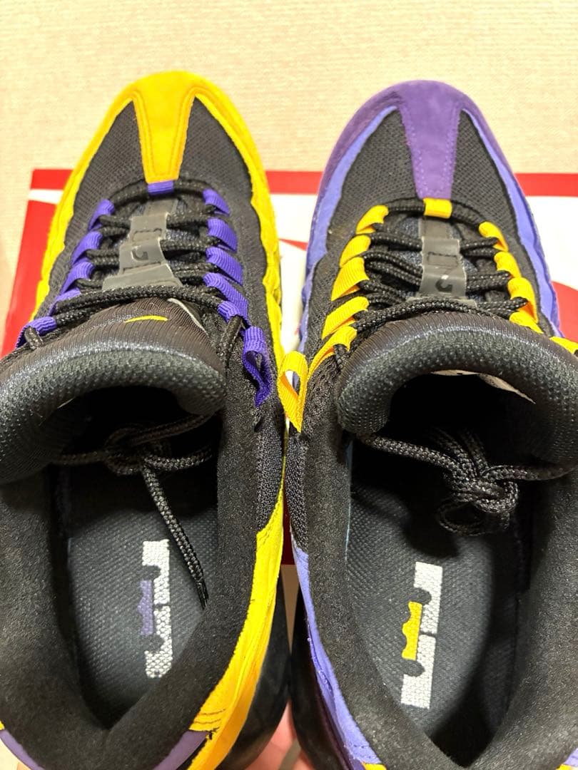 NIKE AIRMAX95 レブロンHome team 29センチ - メルカリ