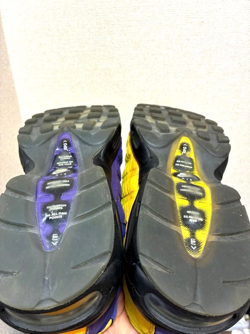 NIKE AIRMAX95 レブロンHome team 29センチ - メルカリ