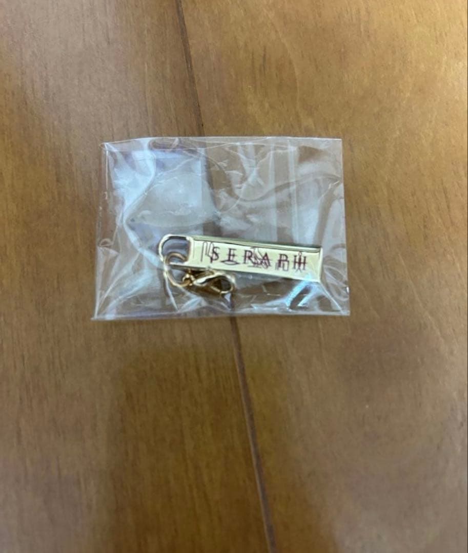 レア DIR EN GREY Shinya SERAPH 直筆サイン入グッズ