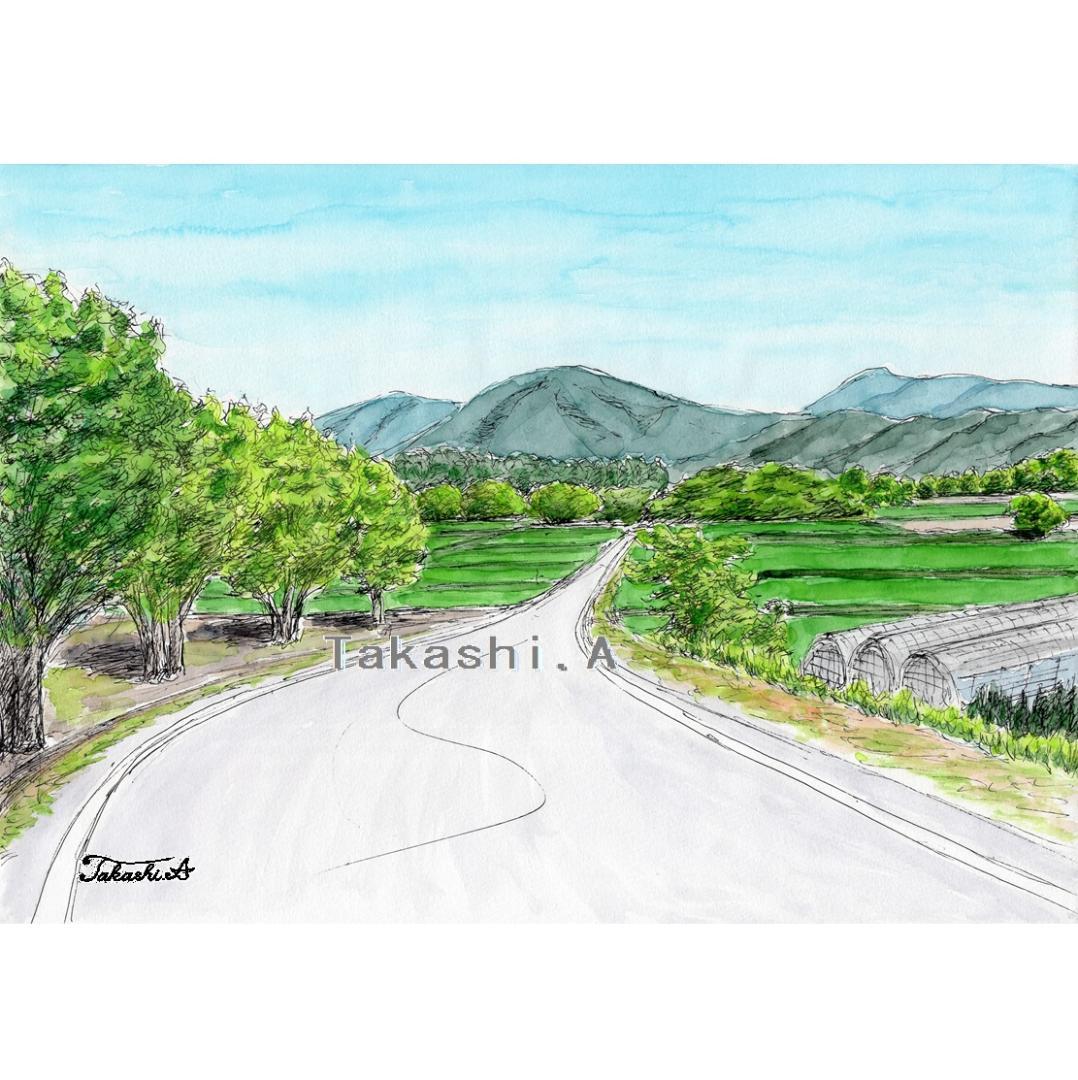 原画一点物 「田舎の一本道」 ＜ペンスケッチ＋透明水彩＞ - メルカリ