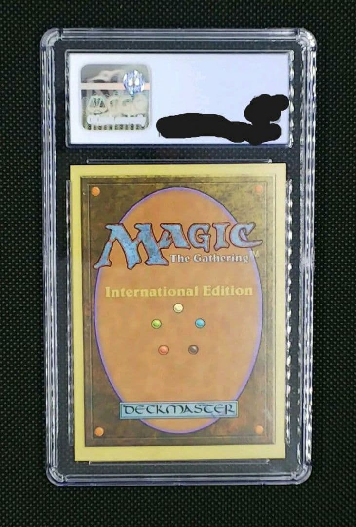 MTG Taiga 【IE】鑑定