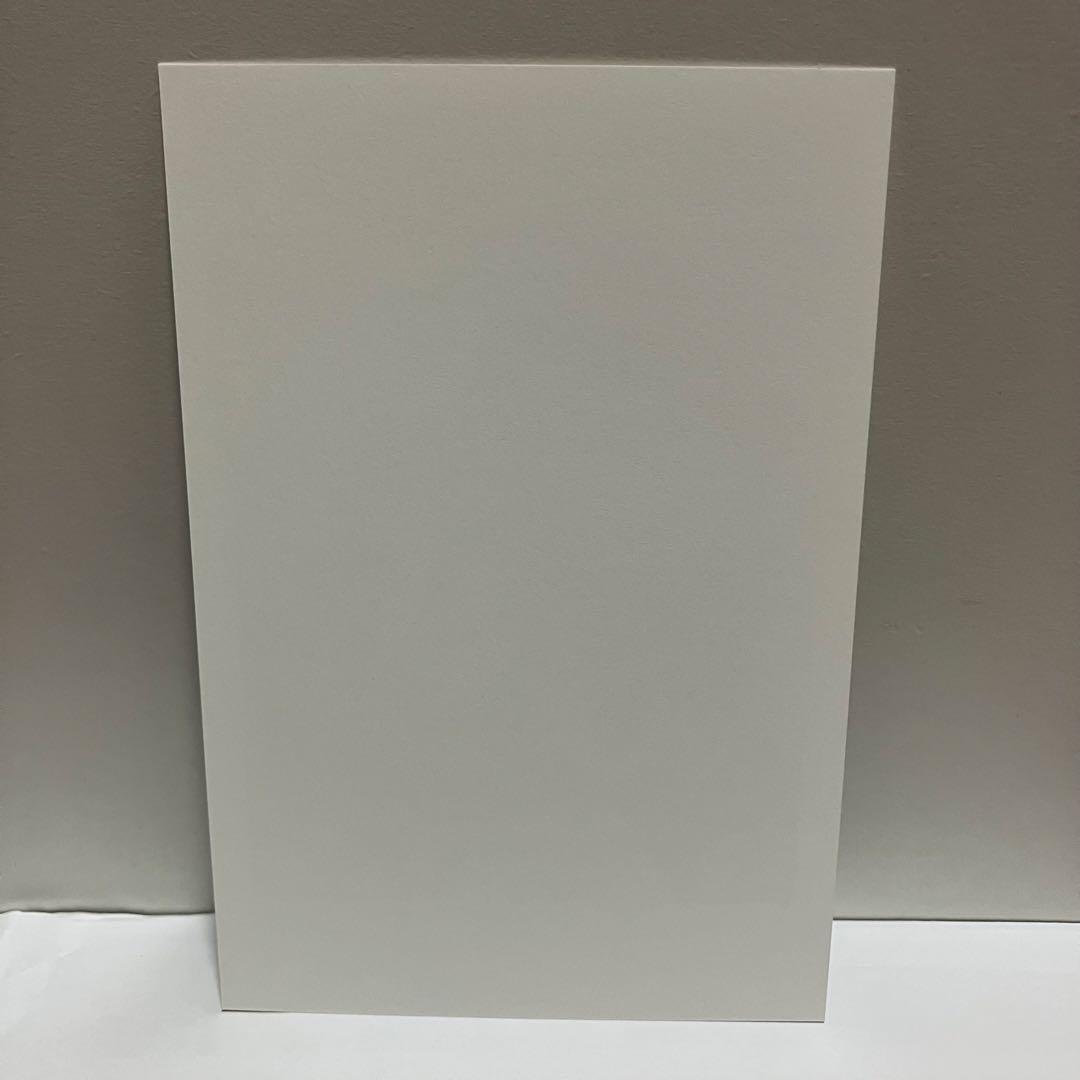 レゼ デンジ ポストカード チェンソーマン チェキ風イラストカード