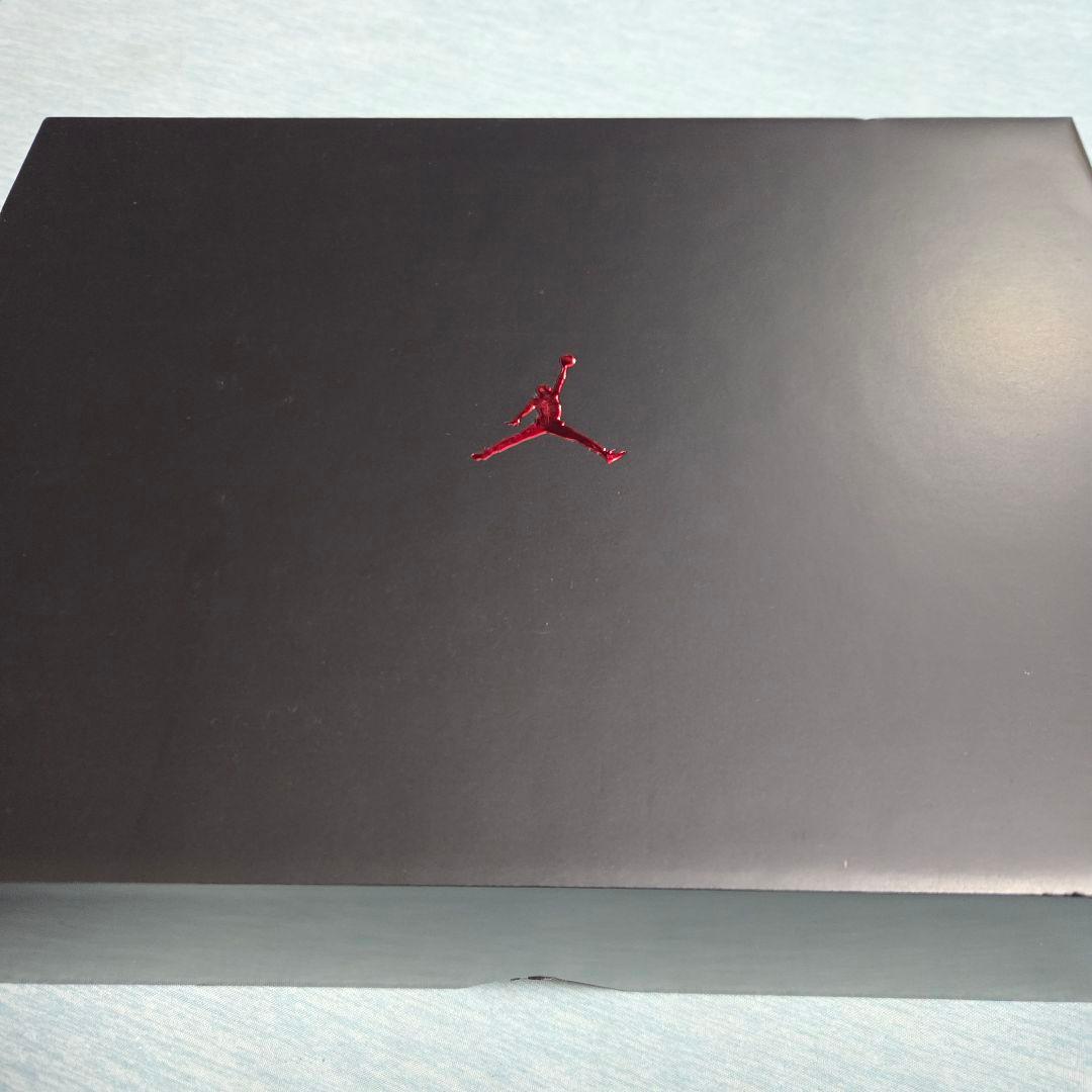 【新品】AIR JORDAN 40 CHICAGO 28.5cm