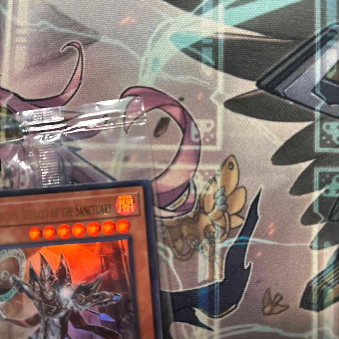 日本選手権 2024 2期 優勝プロモ