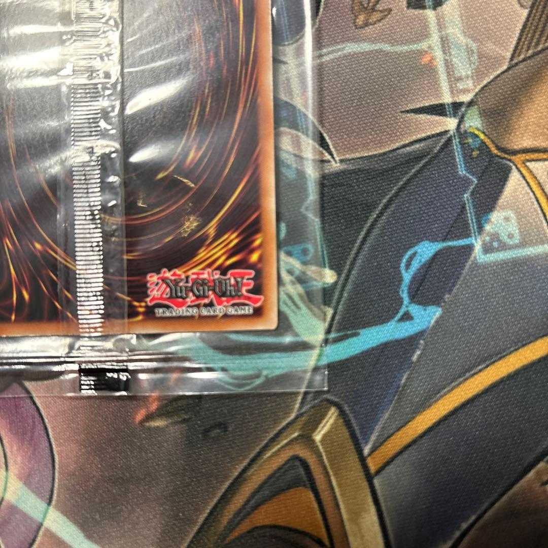 日本選手権 2024 2期 優勝プロモ