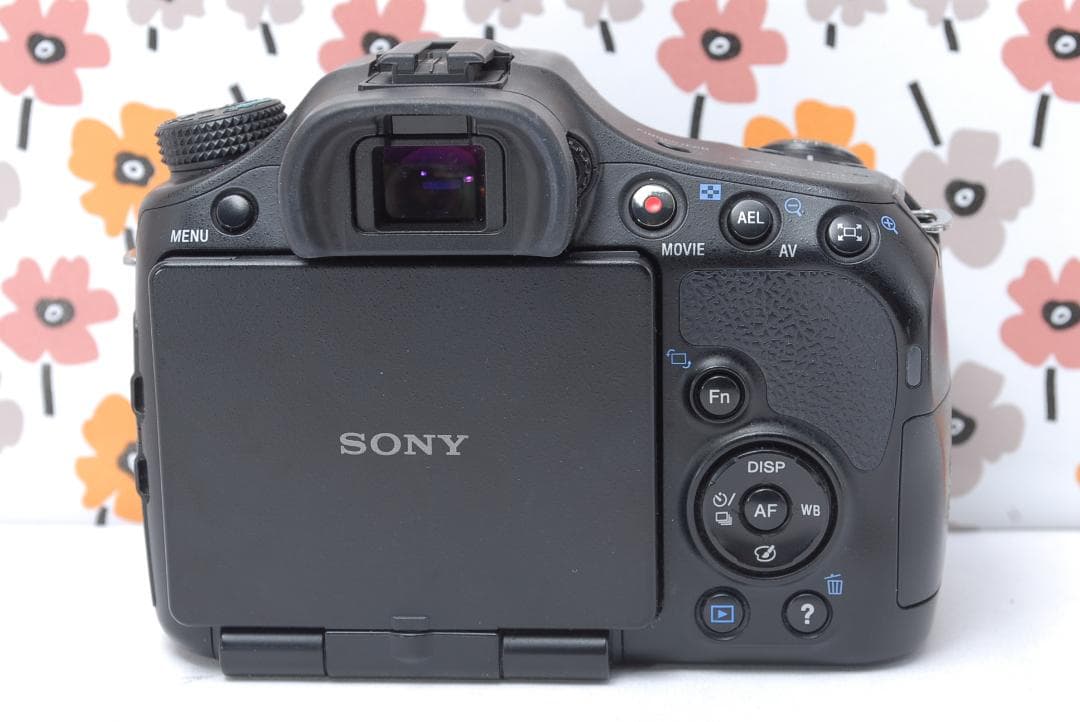 ❤即購入1000円OFF❤SONY α65❤超高画質❤超望遠