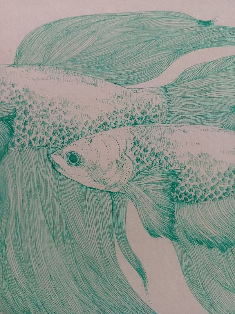 作者不明　「ネオタキシード」(仮題)　　肉筆ペン画　細密画　ヒグチユウコ彷彿