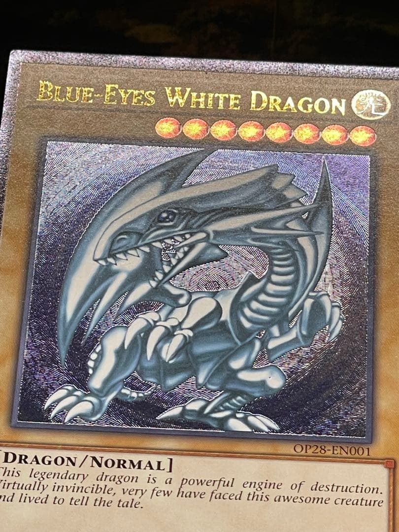 遊戯王　ots28 op28 青眼の白龍　レリーフ　北米版