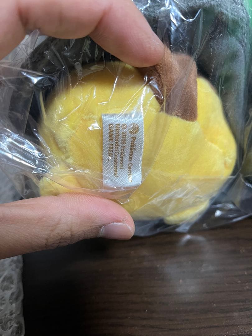 ポンチョを着たピカチュウ　レックウザと黒いレックウザのぬいぐるみ