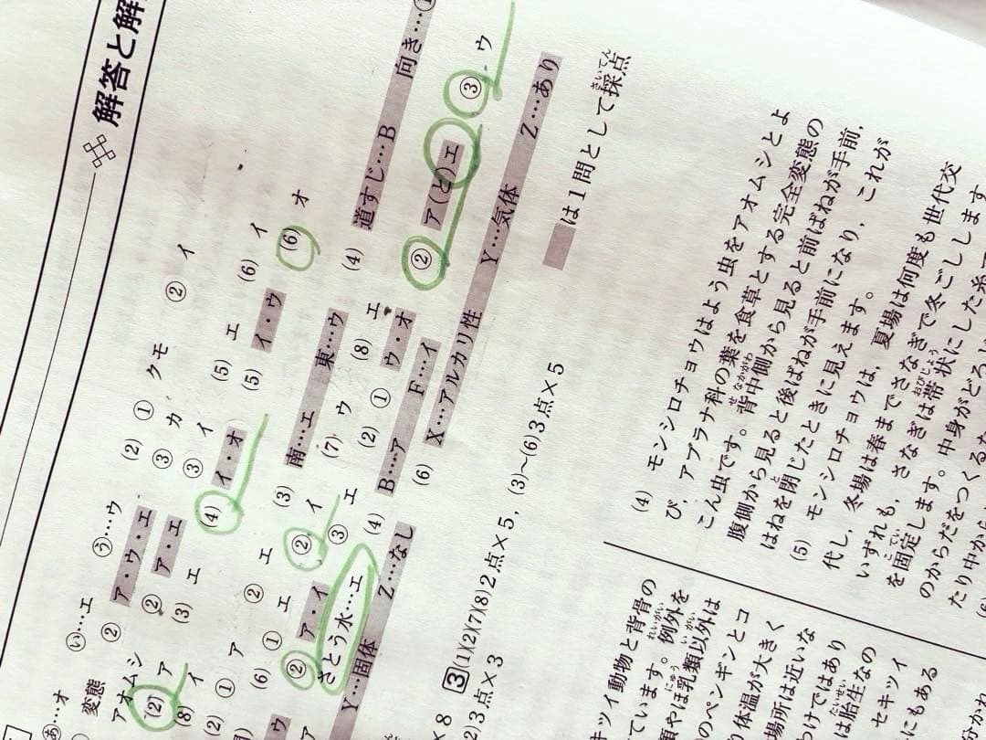 サピックス 新5年 3月度入室・組分けテスト2023年 原本 - メルカリ