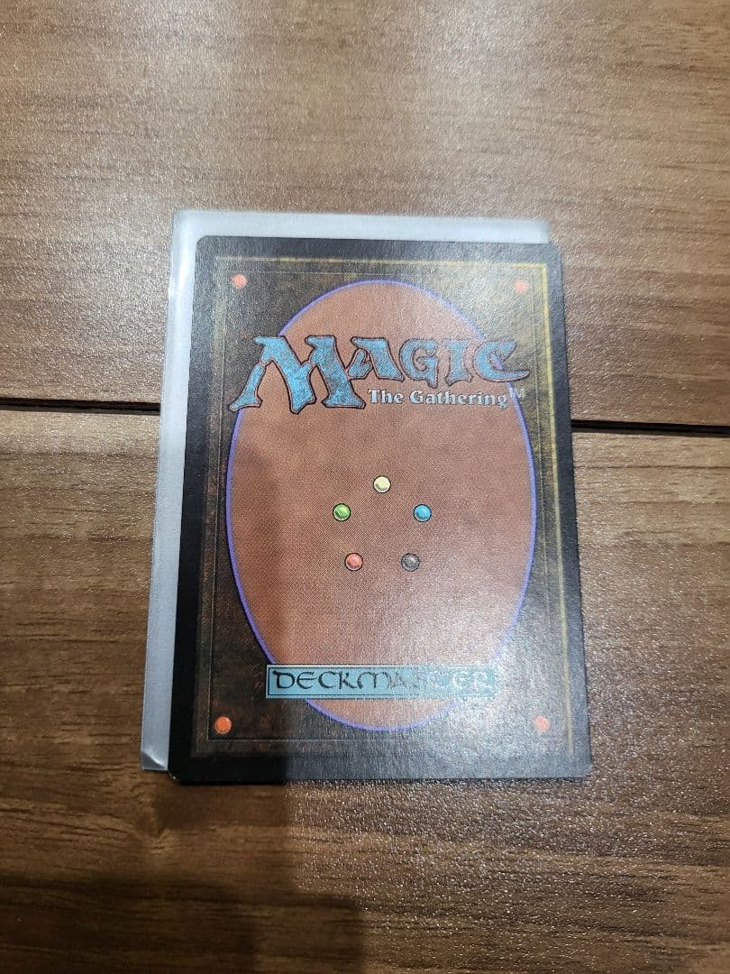 マジック：ザ・ギャザリング 雨ざらしの旅人　foil　日　ons