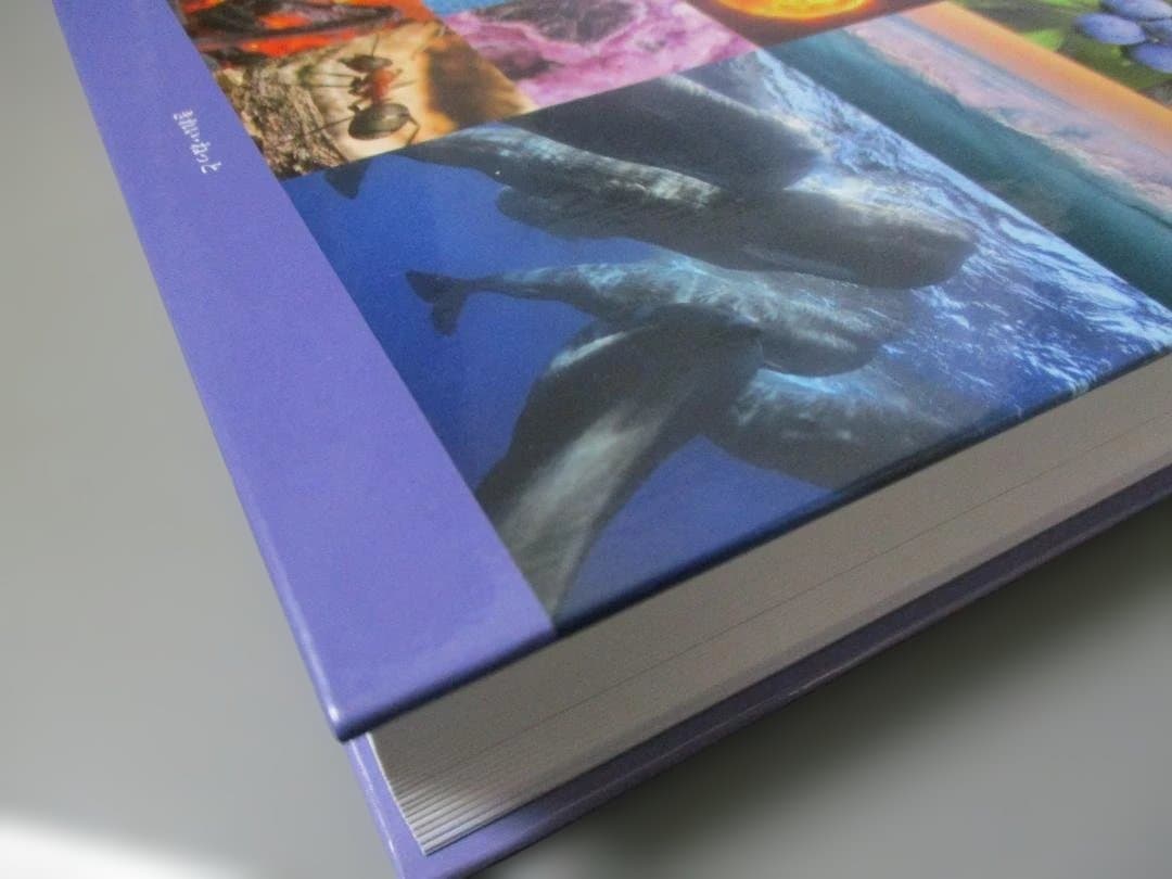 新・臨床家のためのホメオパシーマテリアメディカ 下巻　新品同様