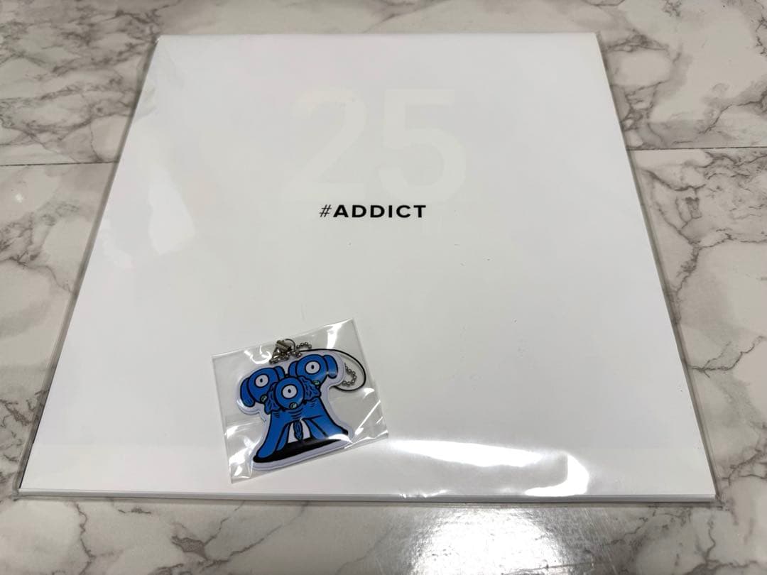 安室奈美恵　ADDICT　沖縄25th　パンフレット