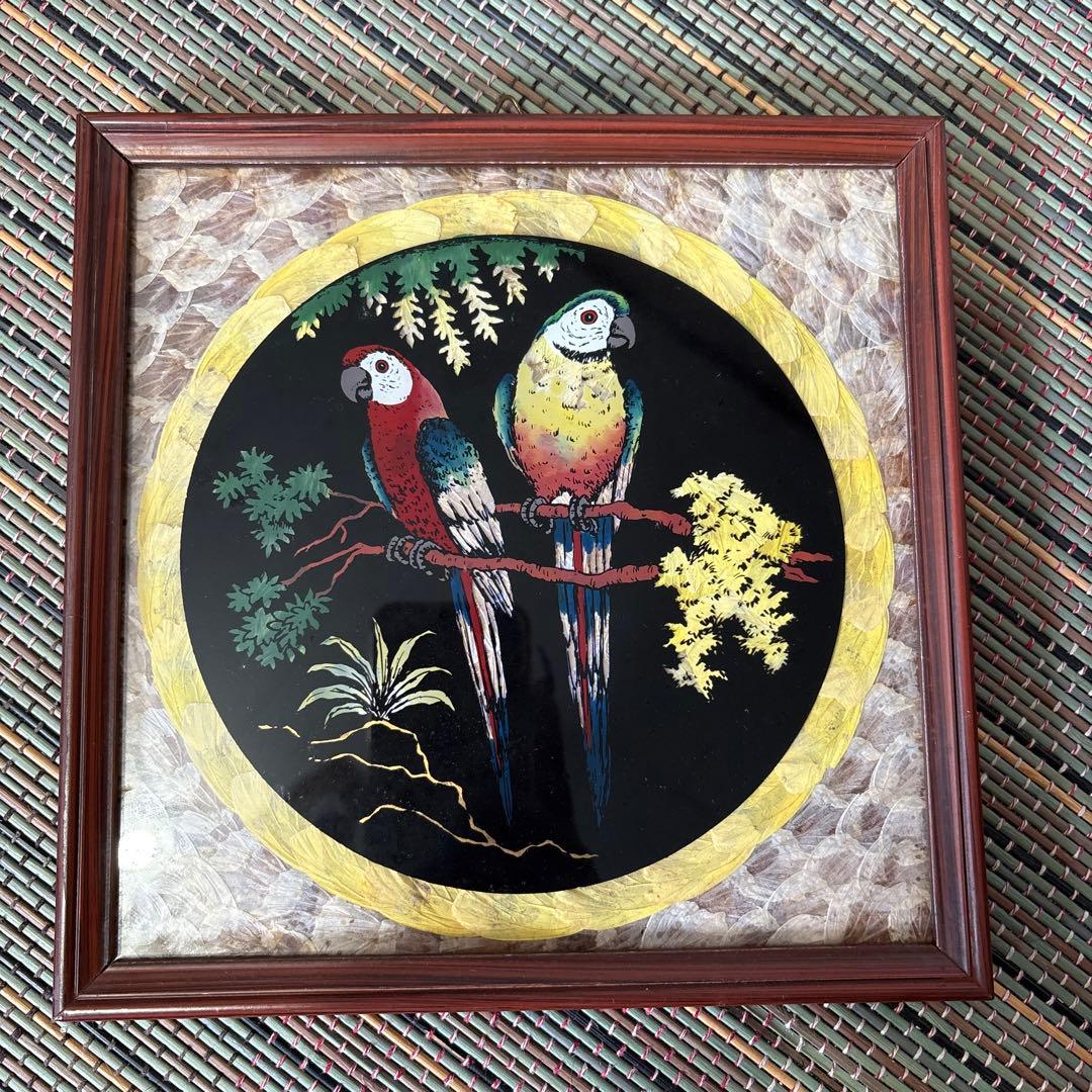 ブラジル産 モルフォ蝶の羽アート オウム 壁掛け ヴィンテージ - メルカリ