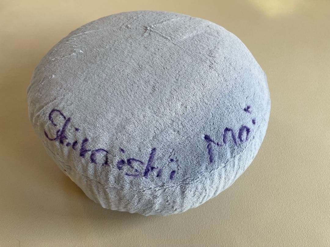 白石麻衣さんの直筆サイン入りクッション　抽プレ　当選　切り抜き付公式　乃木坂46