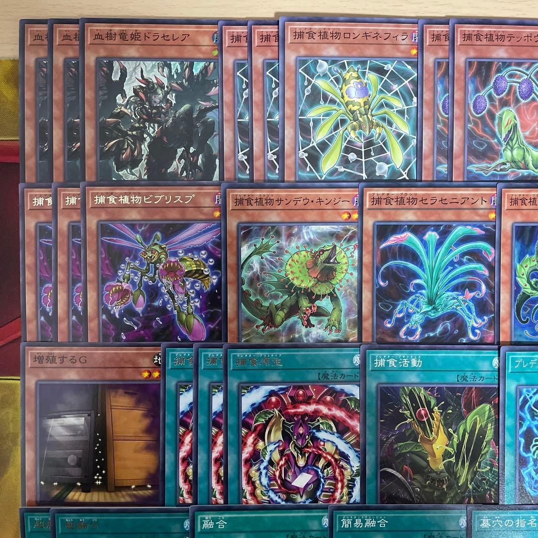 本格構築 捕食植物デッキ プレデタープランツデッキ 血樹竜姫