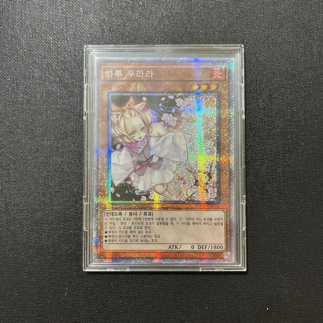 か*ん様 遊戯王引退品　開闢の使者レリーフ　スーパーレア以上5000枚　海外含む