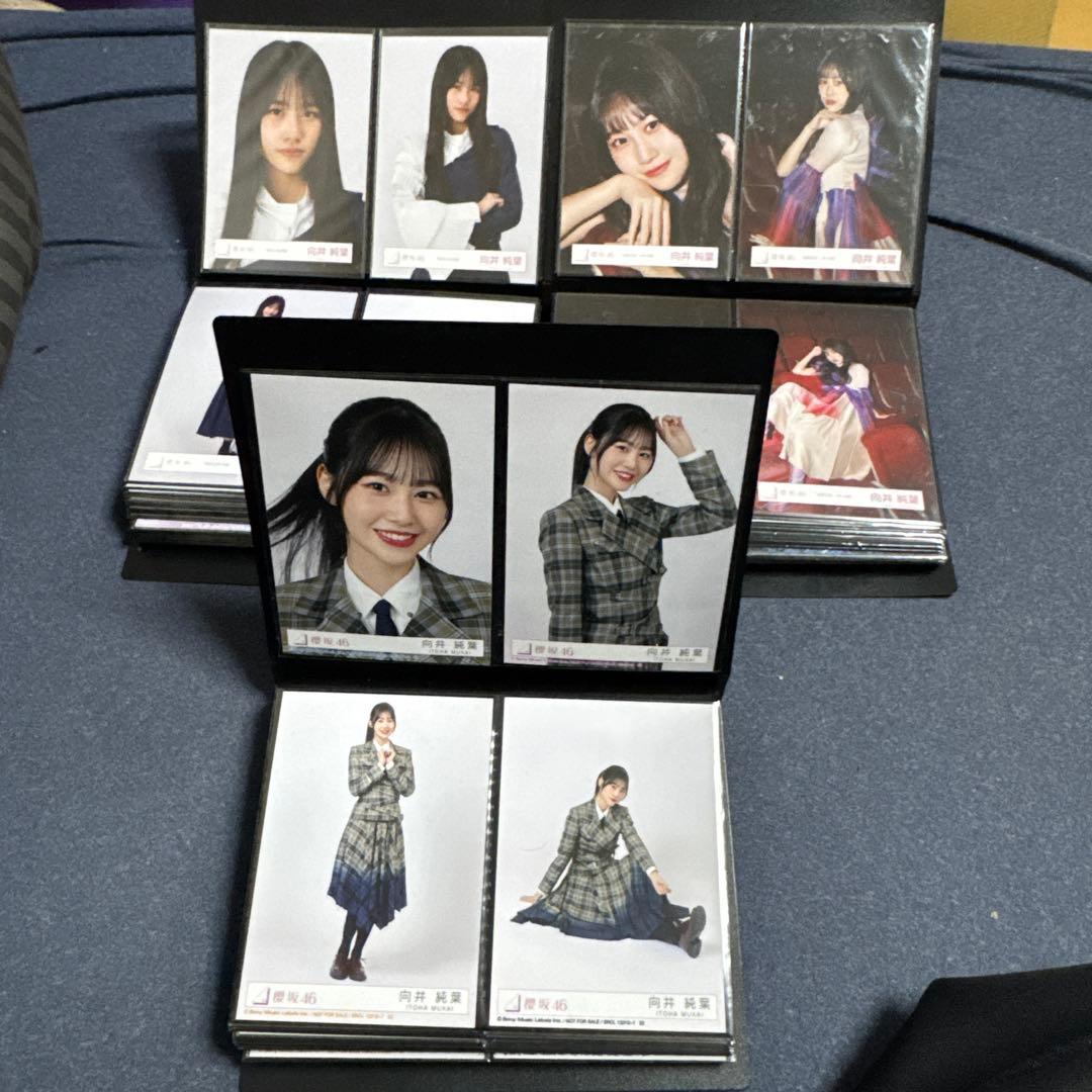 期間限定値下　向井純葉　生写真　最初期〜2025/9 フルコンプ95種