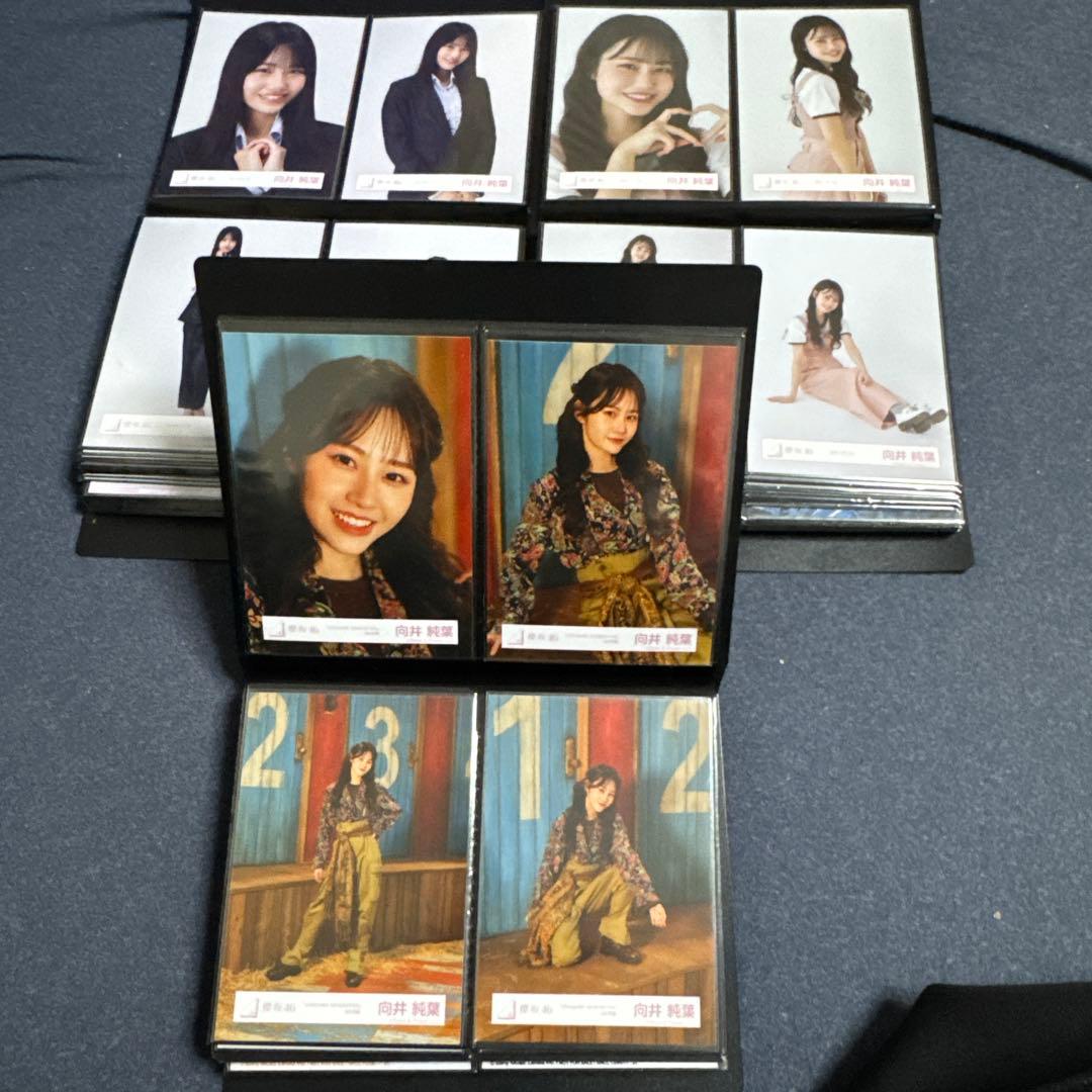 期間限定値下　向井純葉　生写真　最初期〜2025/9 フルコンプ95種