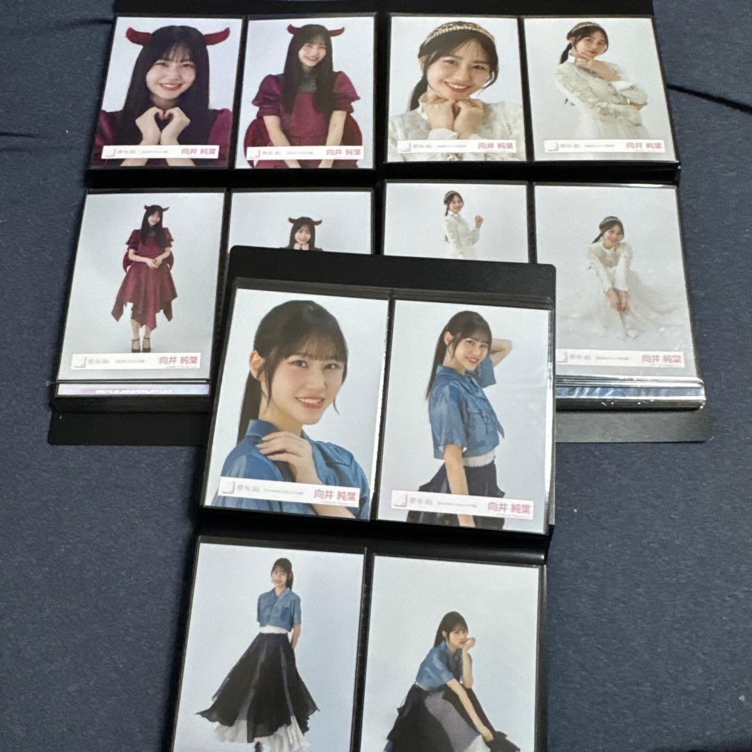 期間限定値下　向井純葉　生写真　最初期〜2025/9 フルコンプ95種