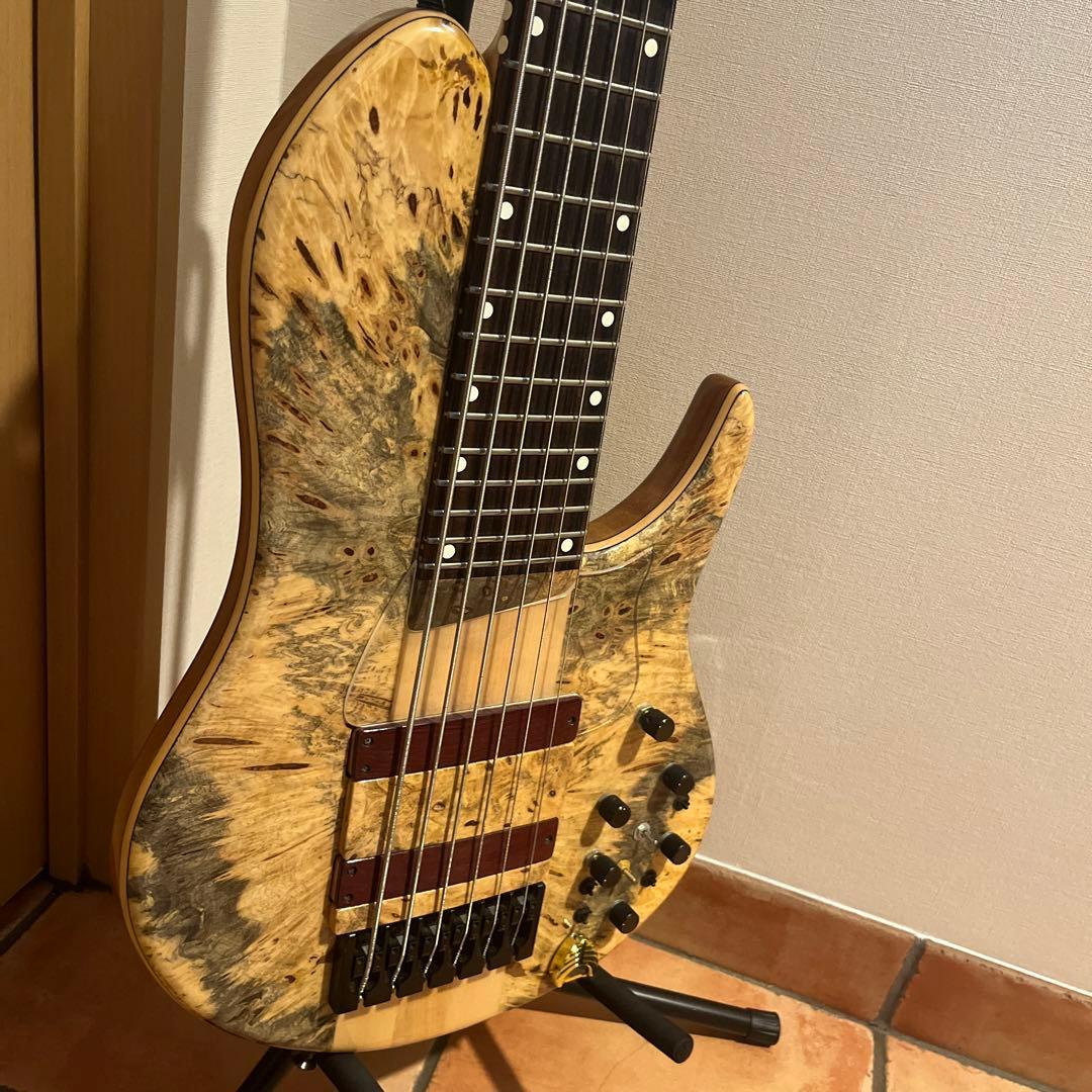 ベース Phoenix/PHS-6 SC Buckeye Burl SC6 Buckeye Burl - Price 4000€