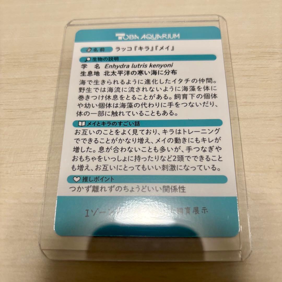 N*K様 鳥羽水族館 70周年 コレクションカード レア キラメイ - メルカリ