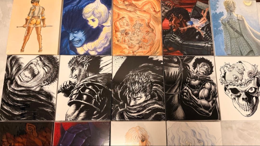 その他 Berserk F3 board 14sets (all new)