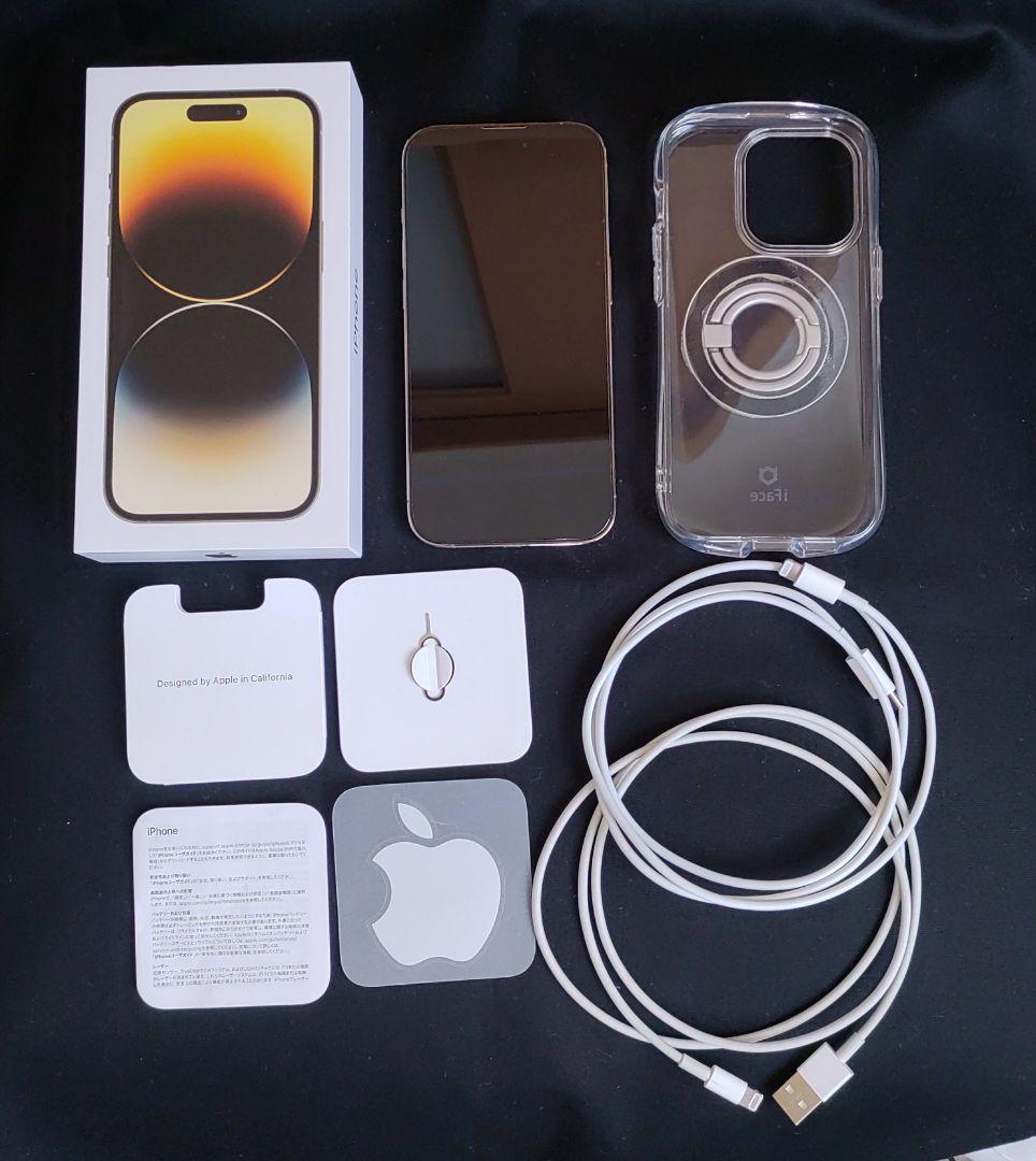 ましとです、ありがとう御座いました！　 Pro 256GB SIマケ2個付